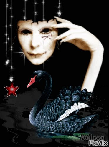 The Black Swan Gif Animado Gratis Picmix