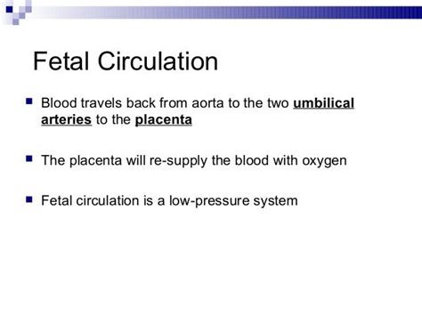 Fetal Circulation Dr Trynaadh