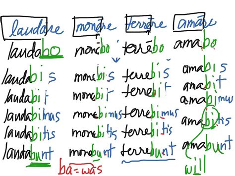 Imperfect And Future Tense Of 1 2 Verbs Latin Language Latin