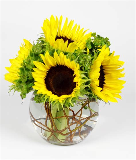 Splash Of Sunshine Sunflower Vase In Saint Paul Mn Iron Violets