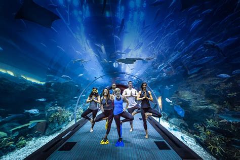 Dubai Mall Aquarium Tickets And Offers January 2024 Upto 40 Off