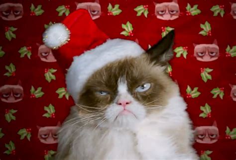 Grumpy Cats Worst Christmas Ever Preview First Look At Memes