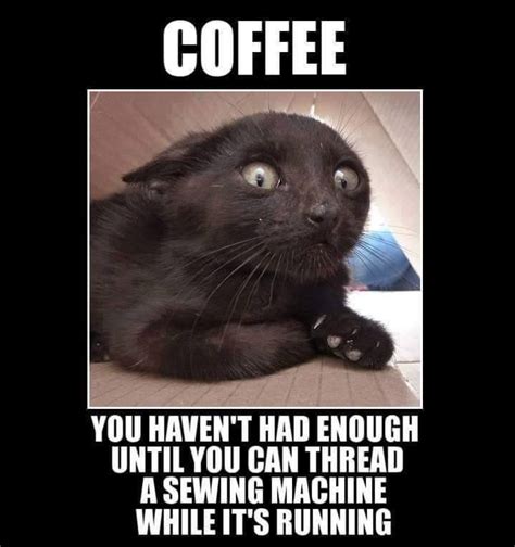 50 Funny Coffee Memes To Get You Through The Daily Grind Work Money