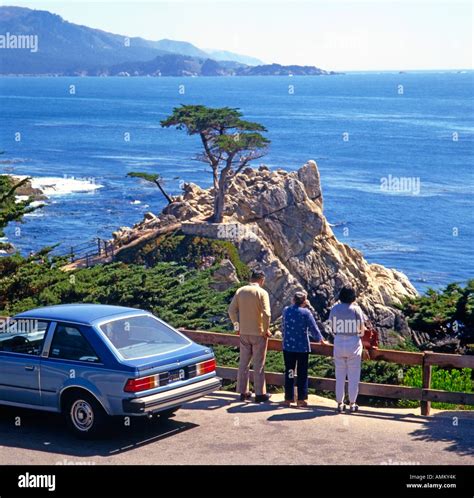 The Lone Cypress Tree On The Famous 17 Mile Scenic Drive Between Carmel