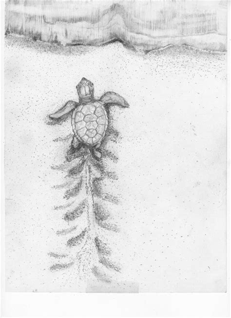 Turtle Turtle Tattoo Designs Sea Turtle Tattoo Turtle Tattoo