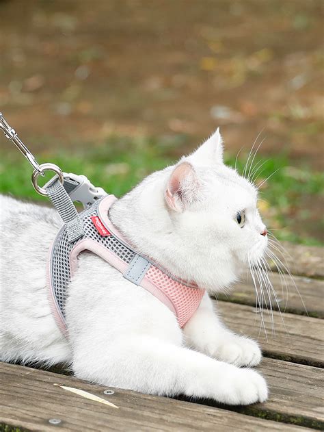 猫咪牵引绳背心式胸背带防挣脱溜猫绳子栓猫链子猫咪专用外出用品-淘宝网