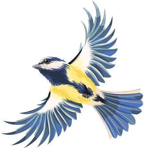 Clipart Bird Name Clipart Bird Name Transparent Free For Download On