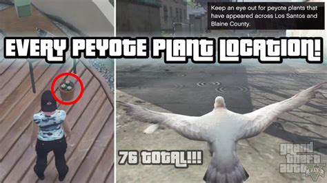 All 76 Peyote Plant Locations Turn Into Animals Gta 5 Online Youtube