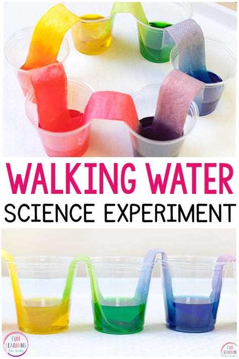 Rainbow Walking Water Science Experiment For Kids Preschool Science
