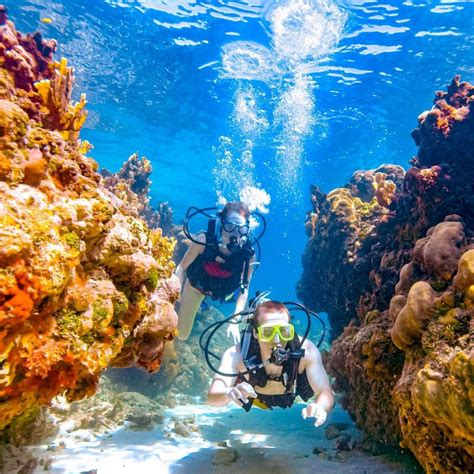 Start your scuba diving journey in Dubai | Nemo Diving Center