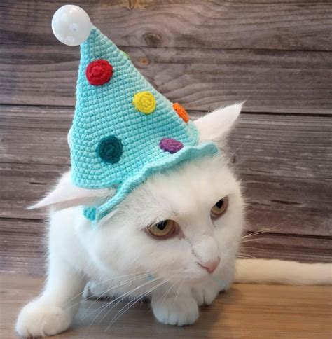 Cat Birthday Hat Crochet Hat Kitten Hats For Dog Cats Wearing Etsy