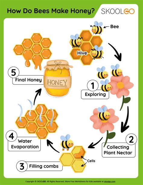 How Do Bees Make Honey Free Worksheet SKOOLGO