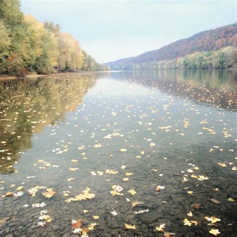 We're a haven for campers and caravaners and we provide the best holiday we can offer. Camping Near Marshalls Creek, PA | Getaway Tips