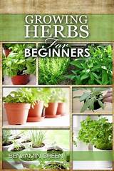 Pictures of Growing Herbs For Profit At Home