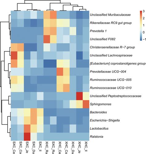 Heatmap Of Relative Abundance Of The Dominant Bacterial Genera Genera Download Scientific