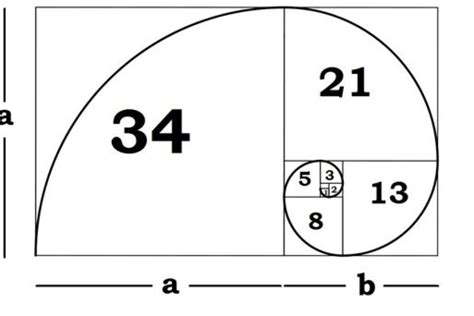 The Golden Ratio For Dressing Your Body Image Power Play
