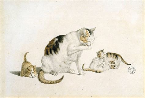 Gottfried Mind 1768 1814 Swiss Cat Art Animal Art Great Cat