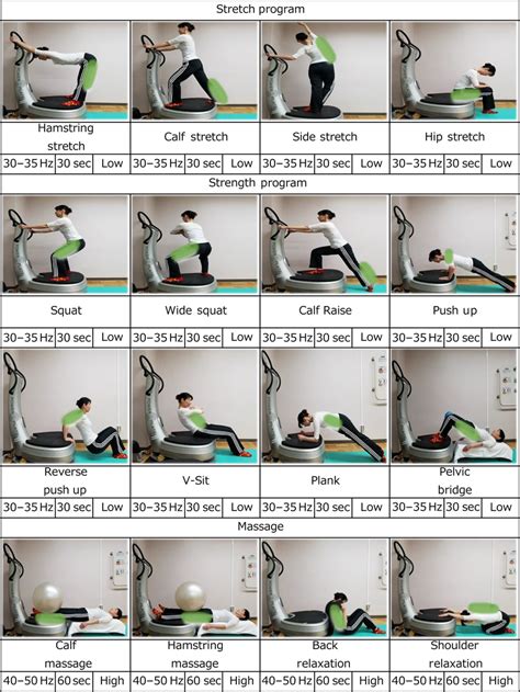 The Program Chart For Whole Body Vibration Exercise Download