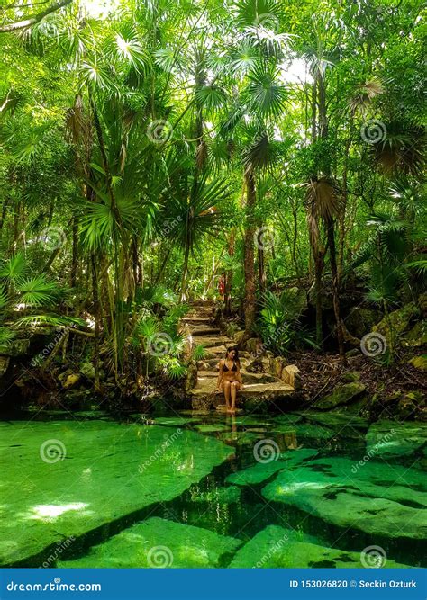 Azul Sagrado Do Cenote Em Tulum, Península Do Iucatão, México Foto de