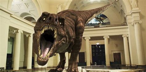 The Field Museum Announces Arrival Of Worlds Largest Dinosaur New