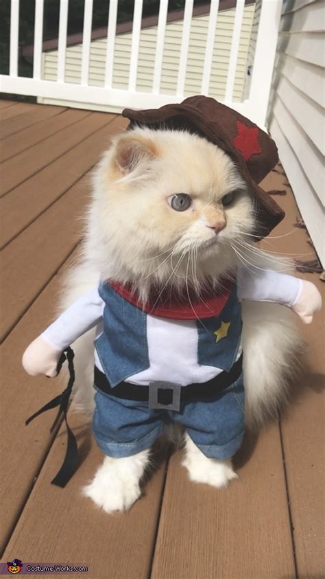 Cowboy Cat Costume Photo 34