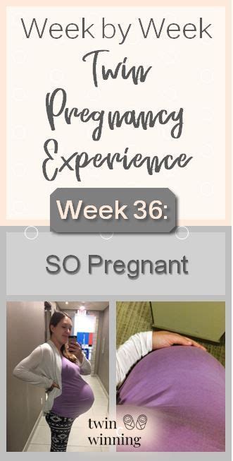 Week 36 Twin Pregnancy Experience Artofit