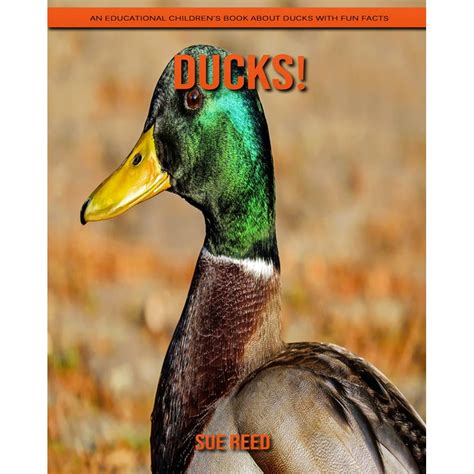 Ducks An Educational Childrens Book About Ducks With Fun Facts