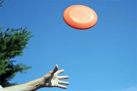 How The Frisbee Took Flight