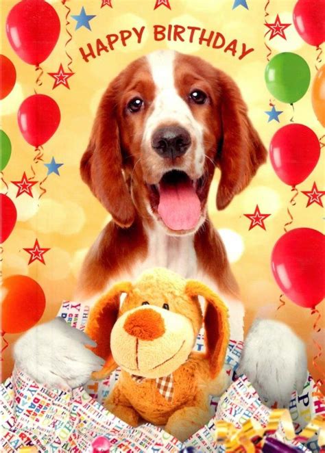 35 Excited Cute Puppy Birthday Card Photo 4k Ukbleumoonproductions