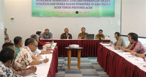 Pemkab Aceh Timur Dukung Suaka Badak Sumatera Aceh Insight