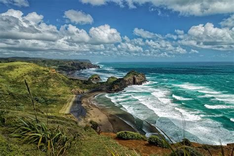 The Complete Guide To New Zealands Waitakere Ranges