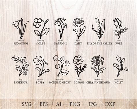 Art And Collectibles Hand Drawn Flowers Flower Clipart Birth Month