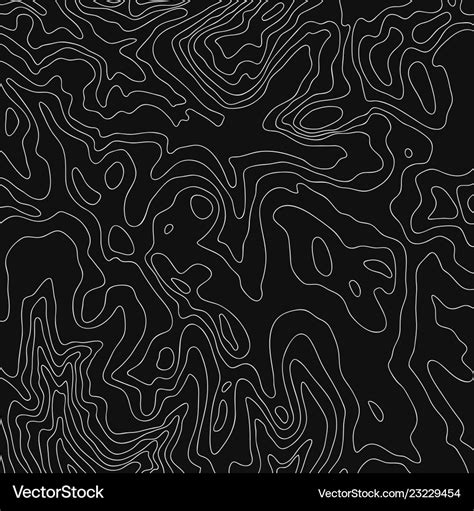 Topographic Map White Line On Black Royalty Free Vector