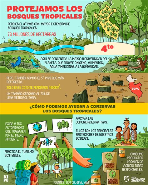 Infografía Día De Los Bosques Tropicales ¿cómo Podemos Ayudar A