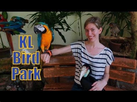 The park offers you a great opportunity to see a hornbill in the first days of your stay in kuala lumpur. Kuala Lumpur Bird Park Aviary (Taman Burung) KL Bird Park ...