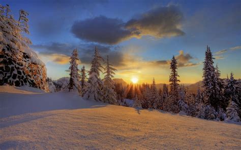 50 Free Winter Wallpaper And Screensavers On Wallpapersafari