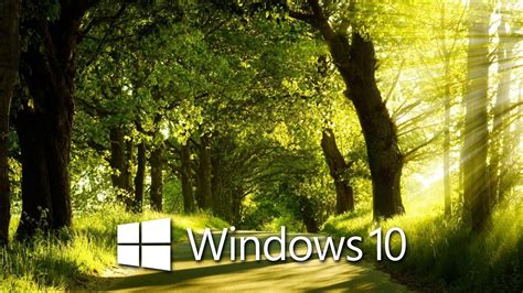 Windows 10 In The Sunny Forest 4 Wallpaper Computer Wallpapers 48349