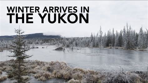 Canadas Yukon Territory And Whitehorse As The Cold Winter Arrives