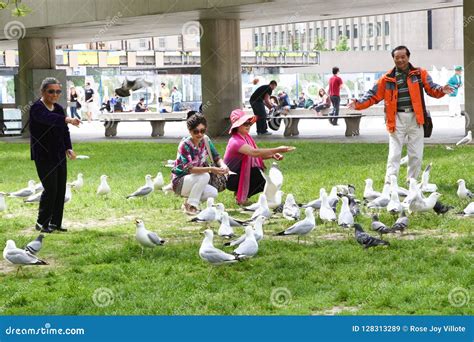 People Feeding Birds In The Park Editorial Stock Image Image Of Brown