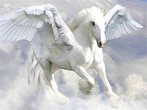 Pegasus By Anonymousan On Deviantart