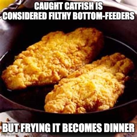 Fried Catfish Imgflip