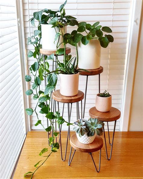 Indoor House Plant Stands A Guide To Stylish And Practical Displays