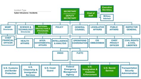 Business Intelligence Org Chart