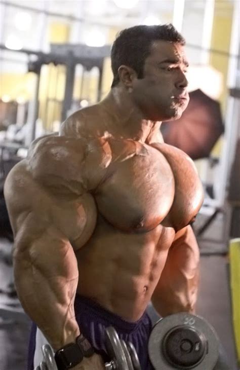 Muscle Morphs By Hardtrainer Gym Guys Muscle Bodybuilding Motivation Hot Sex Picture