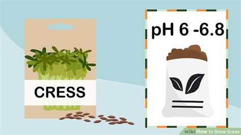 Check spelling or type a new query. 3 Ways to Grow Cress - wikiHow