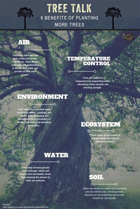 6 Benefits Of Planting Trees Benefits Of Planting Trees Trees To