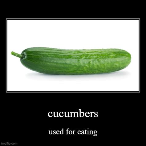 Cucumbers Imgflip