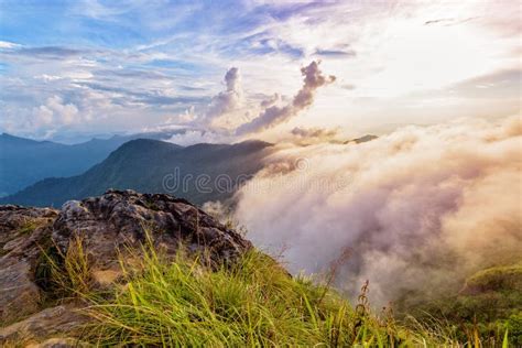 Phu Chi Fa Forest Park At Sunset Thailand Stock Photo Image Of Green