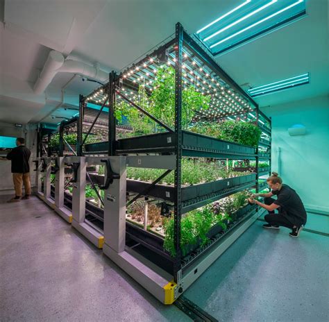 Indoor Vertical Urban Farming Case Study Modern Office Systems