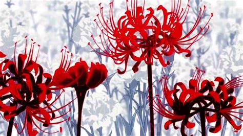 Pin By Gaëlle On Animes Tokyo Ghoul Flower Red Spider Lily Red Flowers
